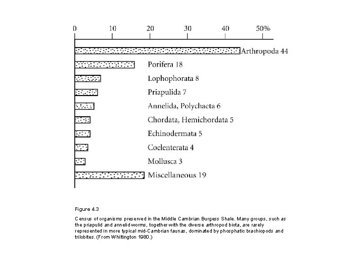 Figure 4. 3 Census of organisms preserved in the Middle Cambrian Burgess Shale. Many