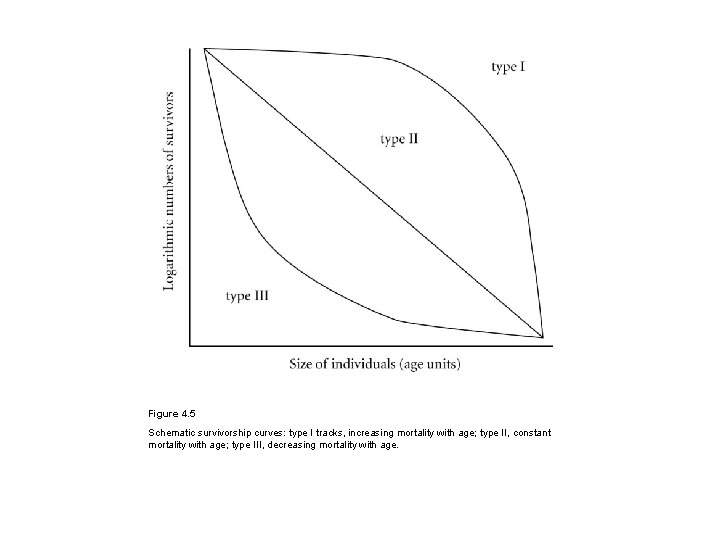 Figure 4. 5 Schematic survivorship curves: type I tracks, increasing mortality with age; type