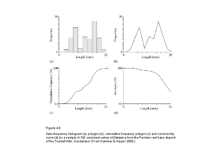 Figure 4. 6 Size–frequency histogram (a), polygon (b), cumulative frequency polygon (c) and survivorship