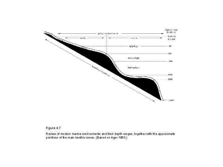 Figure 4. 7 Review of modern marine environments and their depth ranges, together with