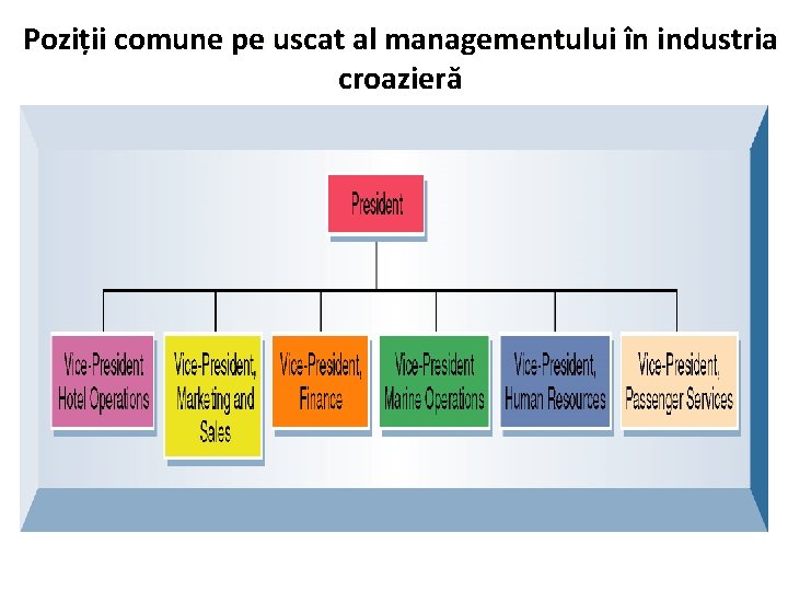 Poziții comune pe uscat al managementului în industria croazieră 