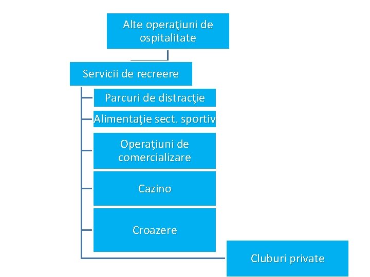 Alte operaţiuni de ospitalitate Servicii de recreere Parcuri de distracţie Alimentaţie sect. sportiv Operaţiuni