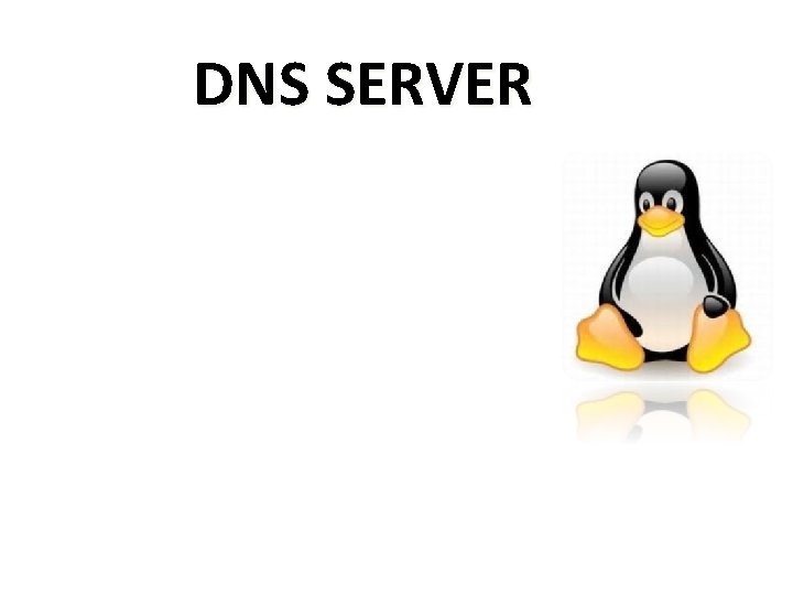 DNS SERVER 