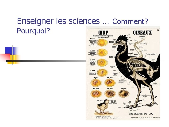 Enseigner les sciences … Comment? Pourquoi? Enseigner les sciences … Comment? Pourquoi?