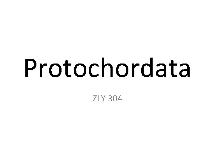 Protochordata ZLY 304 