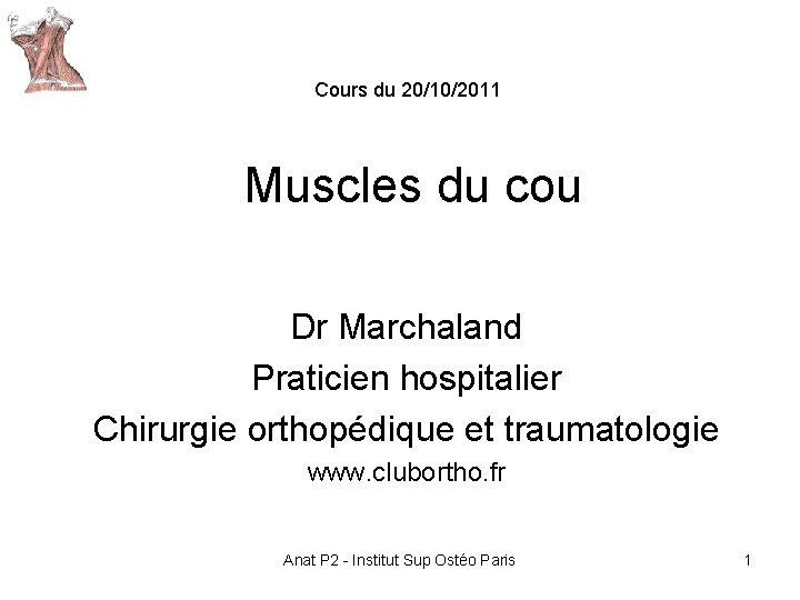 Cours du 20/10/2011 Muscles du cou Dr Marchaland Praticien hospitalier Chirurgie orthopédique et traumatologie Cours du 20/10/2011 Muscles du cou Dr Marchaland Praticien hospitalier Chirurgie orthopédique et traumatologie