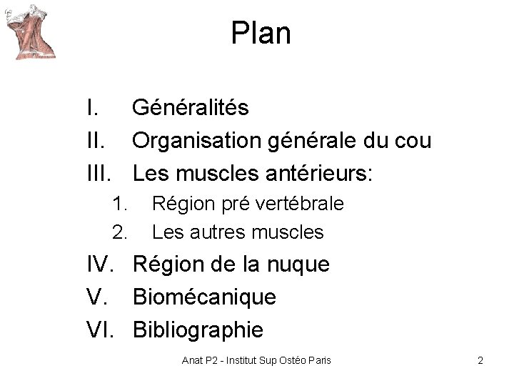 Plan I. Généralités II. Organisation générale du cou III. Les muscles antérieurs: 1. 2. Plan I. Généralités II. Organisation générale du cou III. Les muscles antérieurs: 1. 2.