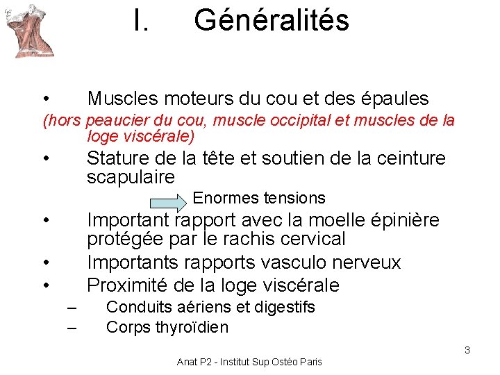 I. • Généralités Muscles moteurs du cou et des épaules (hors peaucier du cou, I. • Généralités Muscles moteurs du cou et des épaules (hors peaucier du cou,