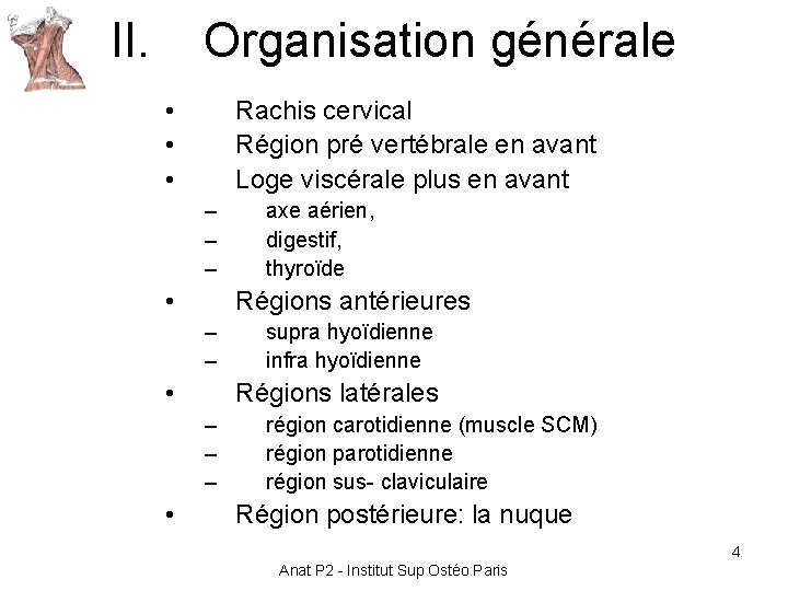 II. Organisation générale • • • Rachis cervical Région pré vertébrale en avant Loge II. Organisation générale • • • Rachis cervical Région pré vertébrale en avant Loge