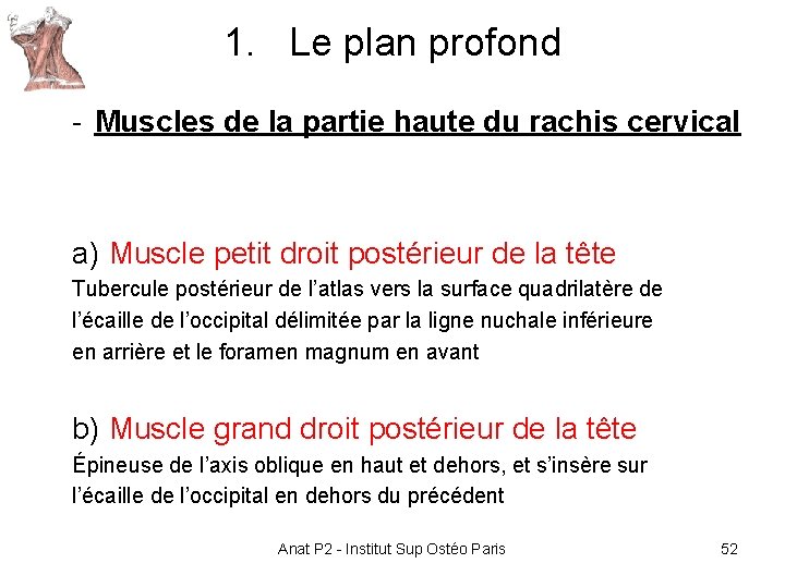 1. Le plan profond - Muscles de la partie haute du rachis cervical a) 1. Le plan profond - Muscles de la partie haute du rachis cervical a)
