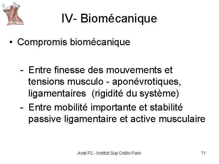 IV- Biomécanique • Compromis biomécanique - Entre finesse des mouvements et tensions musculo - IV- Biomécanique • Compromis biomécanique - Entre finesse des mouvements et tensions musculo -