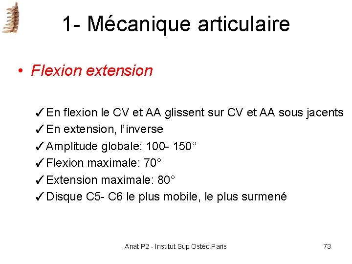 1 - Mécanique articulaire • Flexion extension ✓En flexion le CV et AA glissent 1 - Mécanique articulaire • Flexion extension ✓En flexion le CV et AA glissent