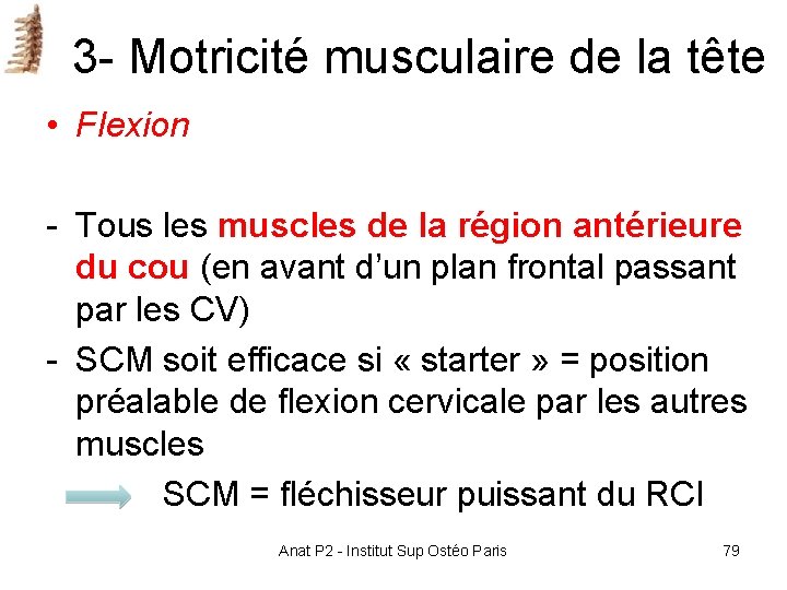 3 - Motricité musculaire de la tête • Flexion - Tous les muscles de 3 - Motricité musculaire de la tête • Flexion - Tous les muscles de