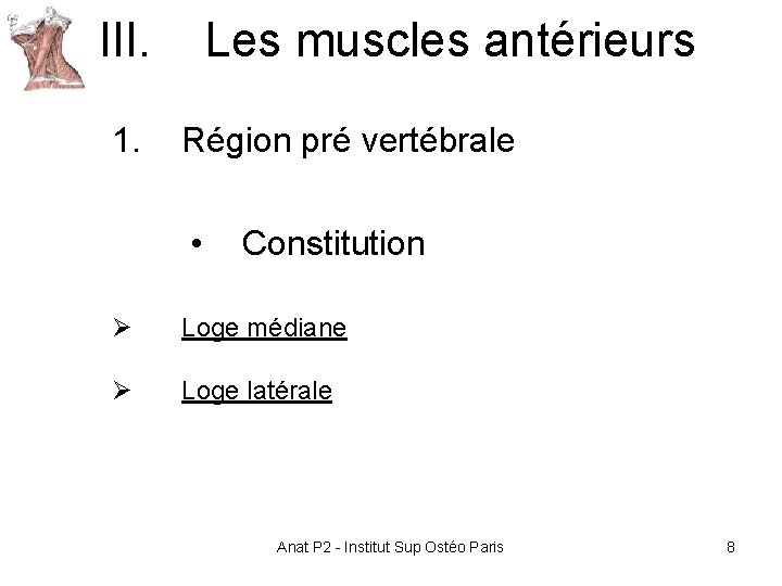 III. Les muscles antérieurs 1. Région pré vertébrale • Constitution Ø Loge médiane Ø III. Les muscles antérieurs 1. Région pré vertébrale • Constitution Ø Loge médiane Ø
