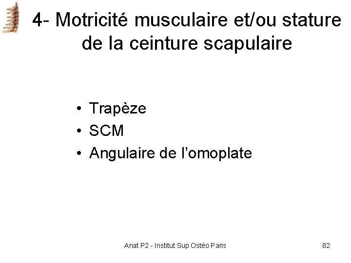 4 - Motricité musculaire et/ou stature de la ceinture scapulaire • Trapèze • SCM 4 - Motricité musculaire et/ou stature de la ceinture scapulaire • Trapèze • SCM