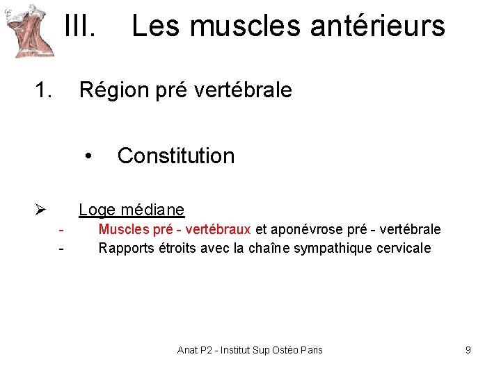 III. Les muscles antérieurs 1. Région pré vertébrale • Ø Constitution Loge médiane - III. Les muscles antérieurs 1. Région pré vertébrale • Ø Constitution Loge médiane -