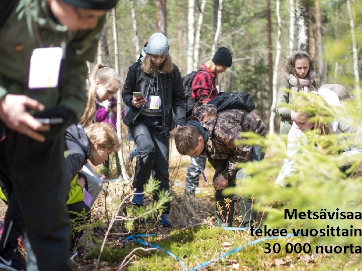 Metsävisaa tekee vuosittain 30 000 nuorta 