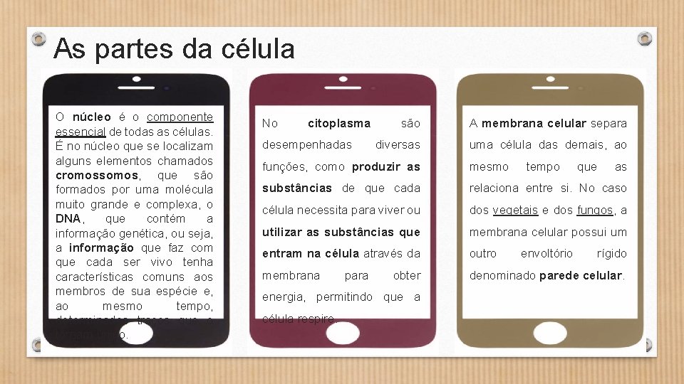As partes da célula O núcleo é o componente essencial de todas as células.