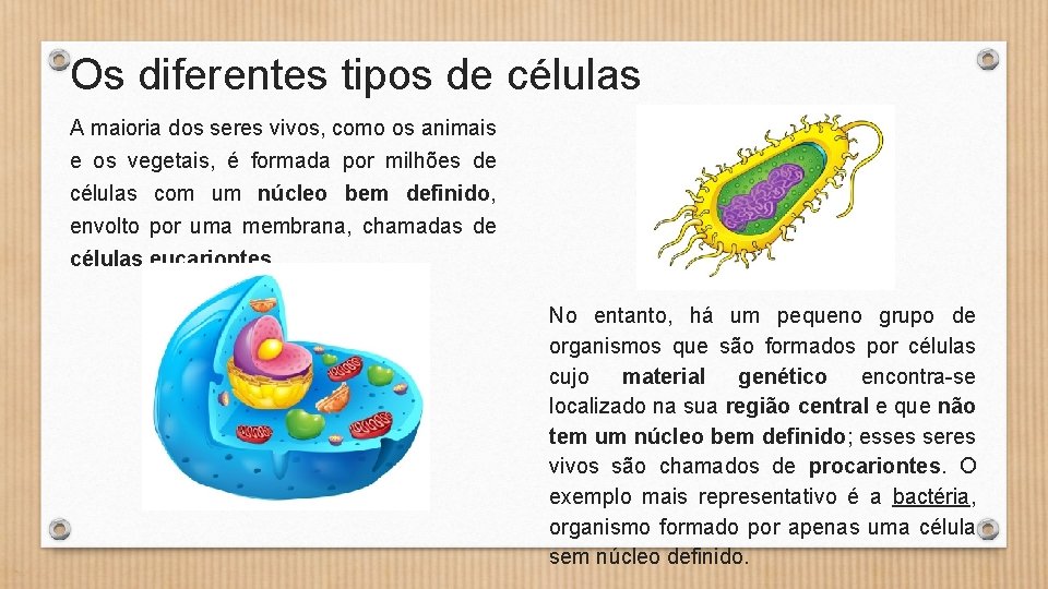 Os diferentes tipos de células A maioria dos seres vivos, como os animais e