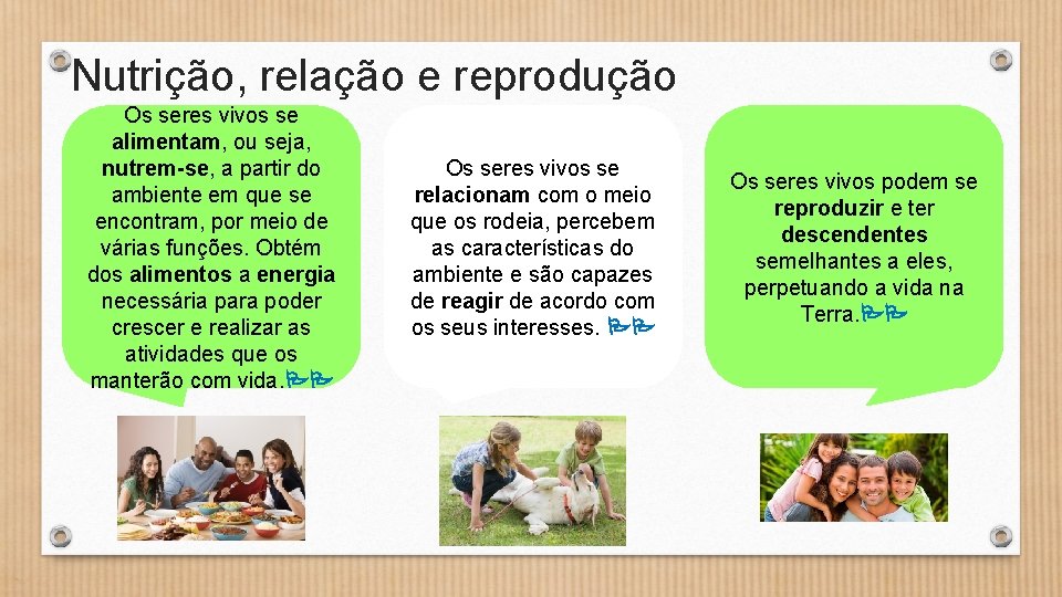 Nutrição, relação e reprodução Os seres vivos se alimentam, ou seja, nutrem-se, a partir