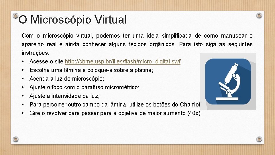 O Microscópio Virtual Com o microscópio virtual, podemos ter uma ideia simplificada de como