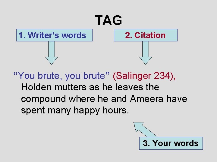 TAG 1. Writer’s words 2. Citation “You brute, you brute” (Salinger 234), Holden mutters