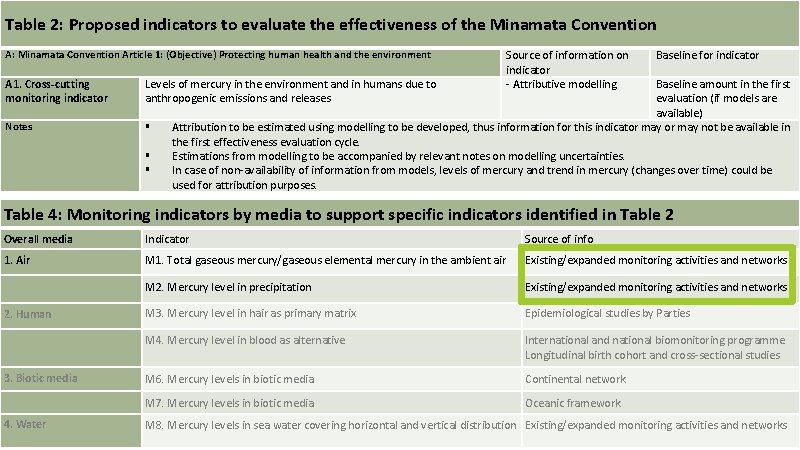  Table 2: Proposed indicators to evaluate the effectiveness of the Minamata Convention A: