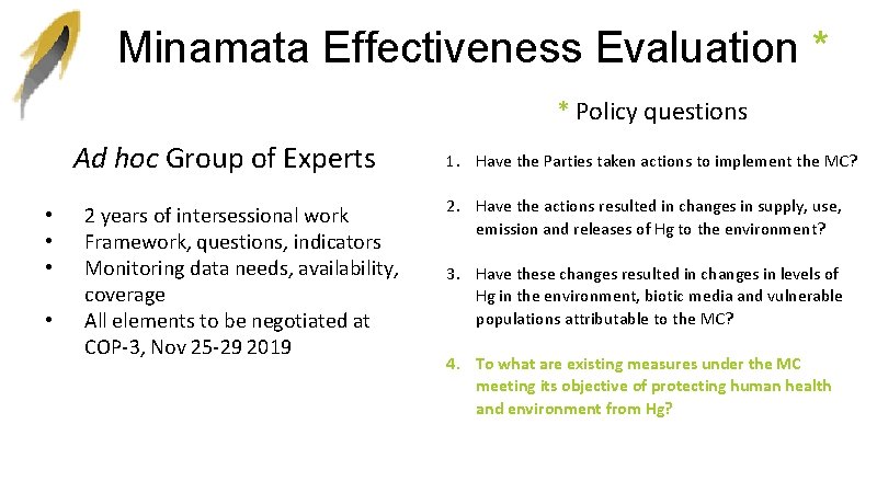 Minamata Effectiveness Evaluation * * Policy questions Ad hoc Group of Experts • •