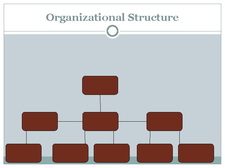 Organizational Structure 