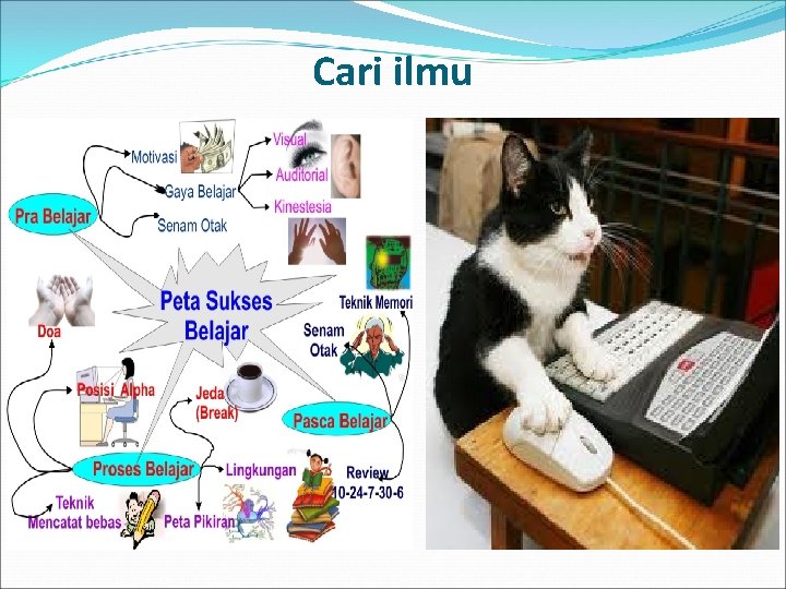 Cari ilmu 