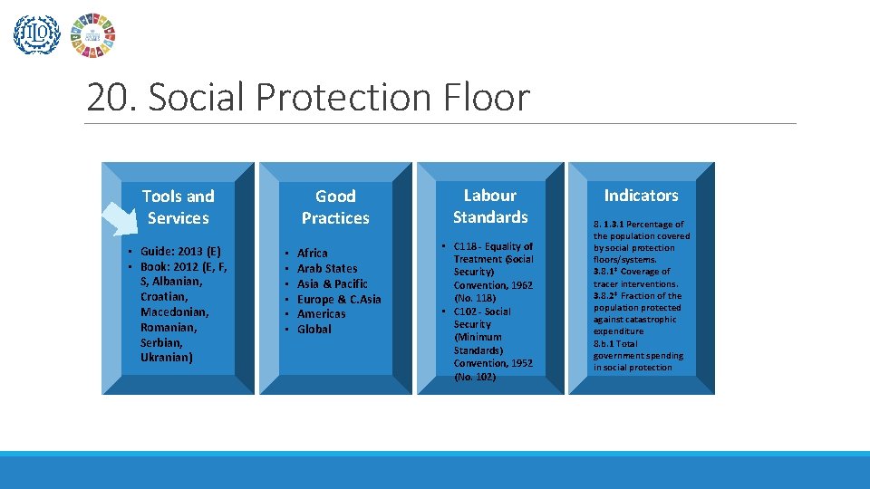 20. Social Protection Floor Tools and Services • Guide: 2013 (E) • Book: 2012