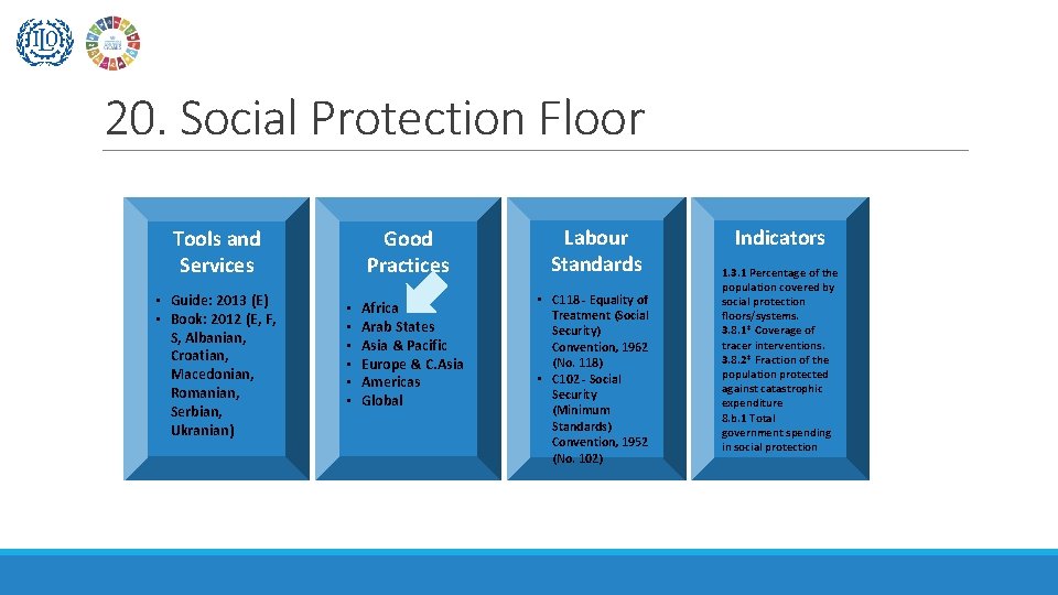 20. Social Protection Floor Tools and Services • Guide: 2013 (E) • Book: 2012