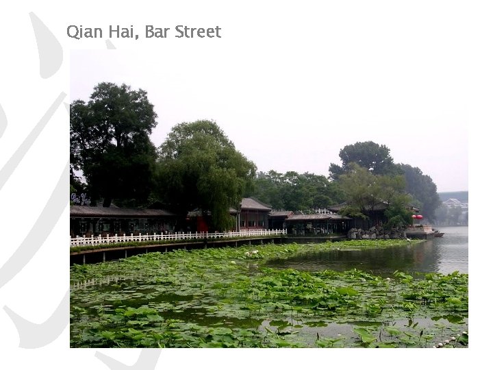 游 Qian Hai, Bar Street 