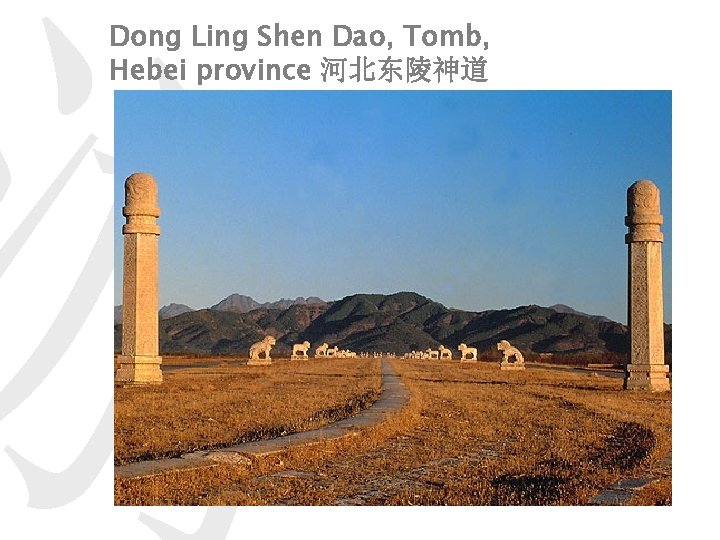 游 Dong Ling Shen Dao, Tomb, Hebei province 河北东陵神道 