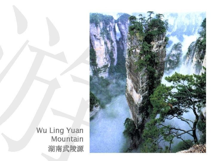 游 Wu Ling Yuan Mountain 湖南武陵源 