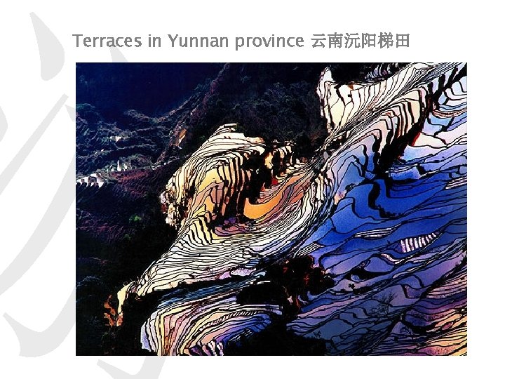 游 Terraces in Yunnan province 云南沅阳梯田 