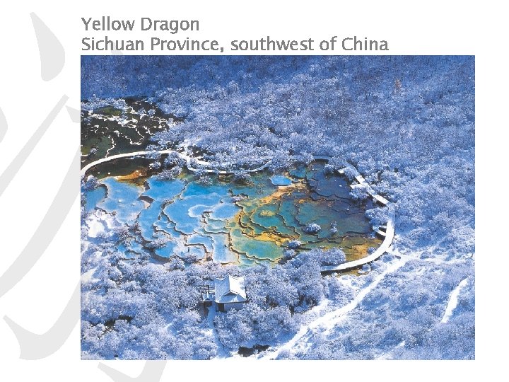游 Yellow Dragon Sichuan Province, southwest of China 