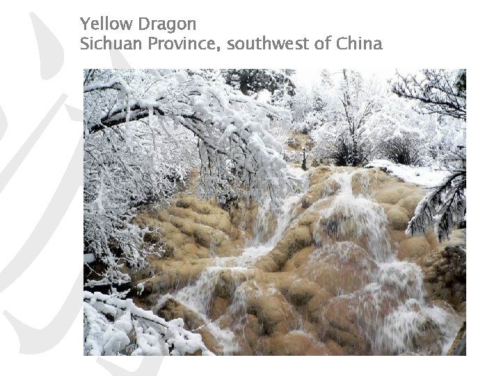 游 Yellow Dragon Sichuan Province, southwest of China 