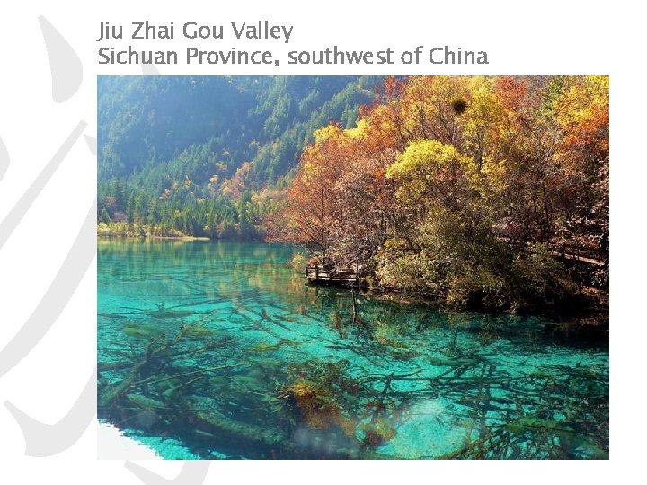 游 Jiu Zhai Gou Valley Sichuan Province, southwest of China 