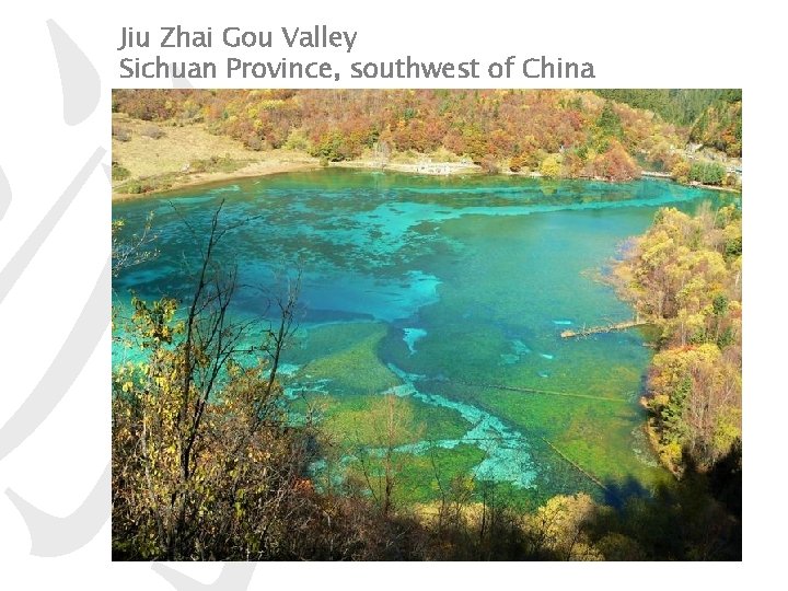 游 Jiu Zhai Gou Valley Sichuan Province, southwest of China 