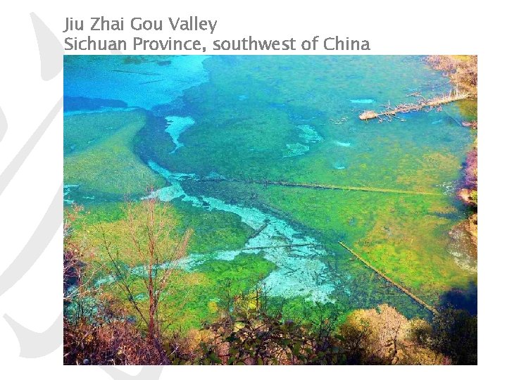 游 Jiu Zhai Gou Valley Sichuan Province, southwest of China 