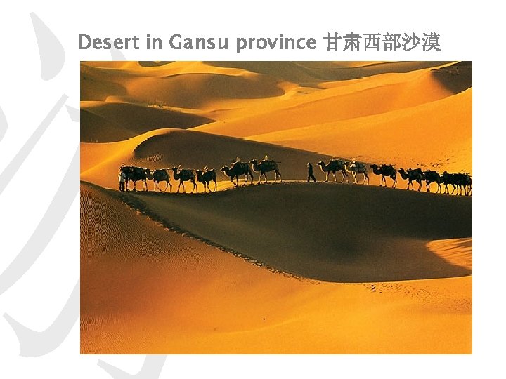 游 Desert in Gansu province 甘肃西部沙漠 