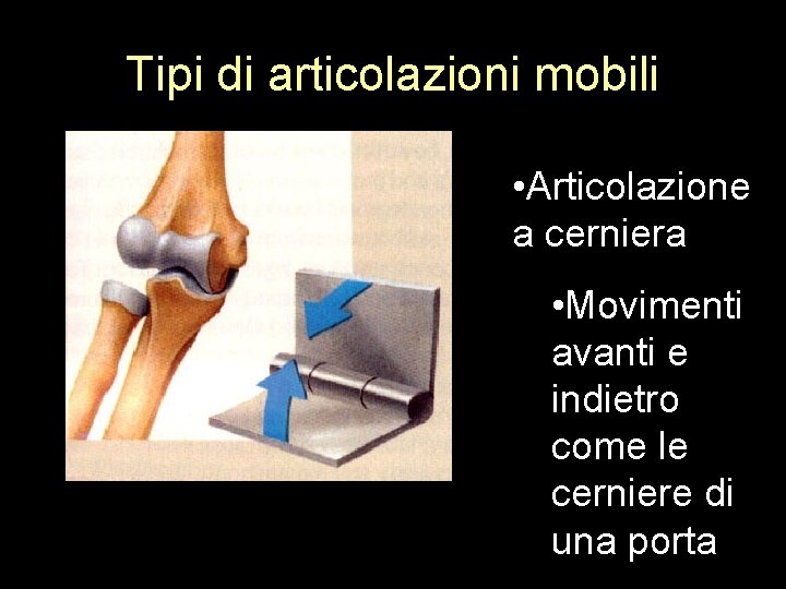 Tipi di articolazioni mobili • Articolazione a cerniera • Movimenti avanti e indietro come