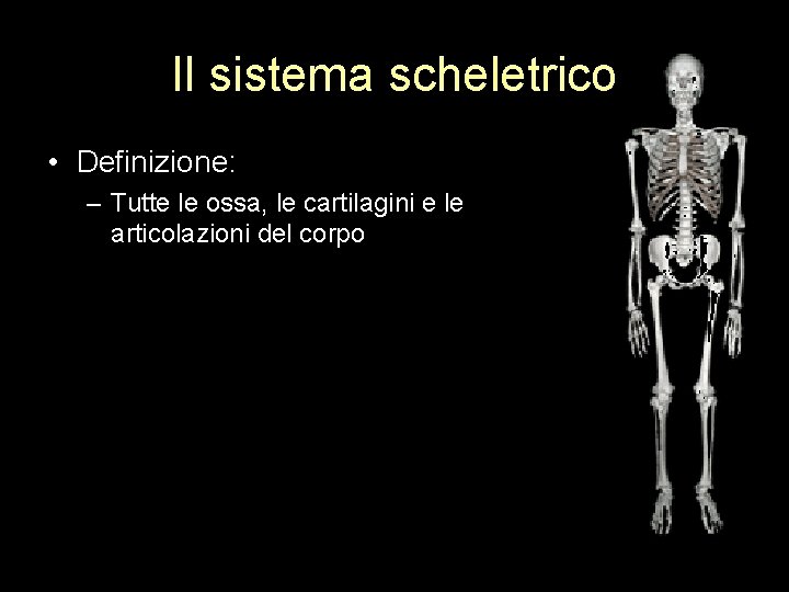 Il sistema scheletrico • Definizione: – Tutte le ossa, le cartilagini e le articolazioni