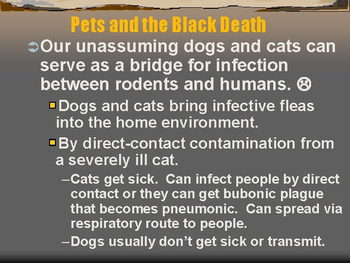 Pets and the Black Death Ü Our unassuming dogs and cats can serve as