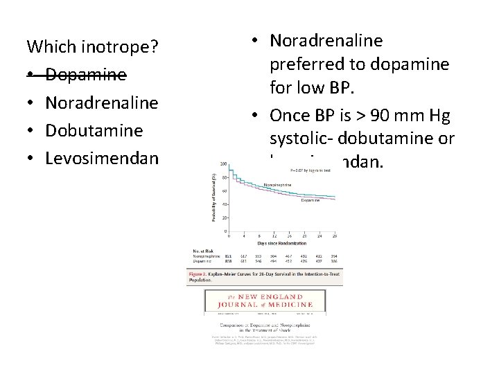 Which inotrope? • Dopamine • Noradrenaline • Dobutamine • Levosimendan • Noradrenaline preferred to