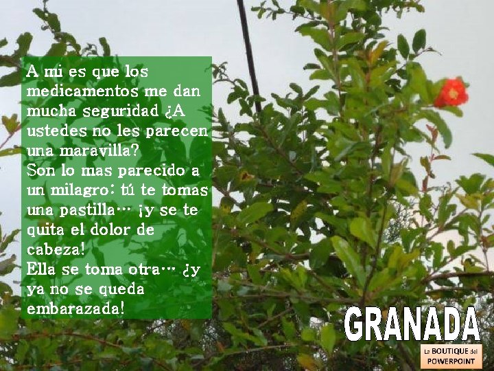 A mi es que los medicamentos me dan mucha seguridad ¿A ustedes no les A mi es que los medicamentos me dan mucha seguridad ¿A ustedes no les