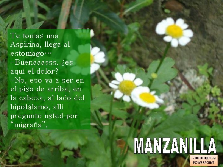 Te tomas una Aspirina, llega al estomago… -Buenaaasss, ¿es aquí el dolor? -No, eso