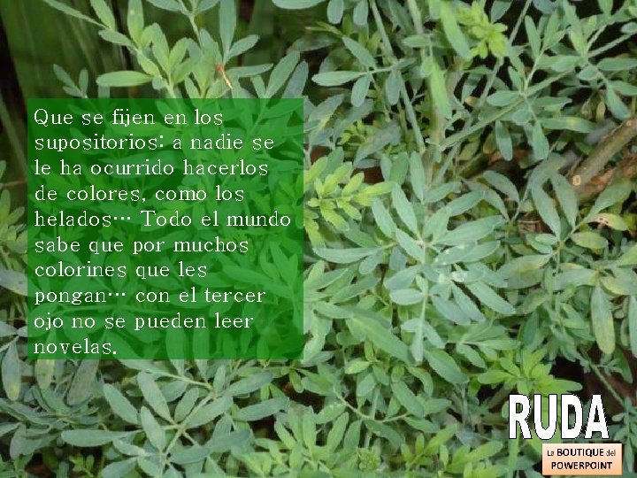 Que se fijen en los supositorios: a nadie se le ha ocurrido hacerlos de