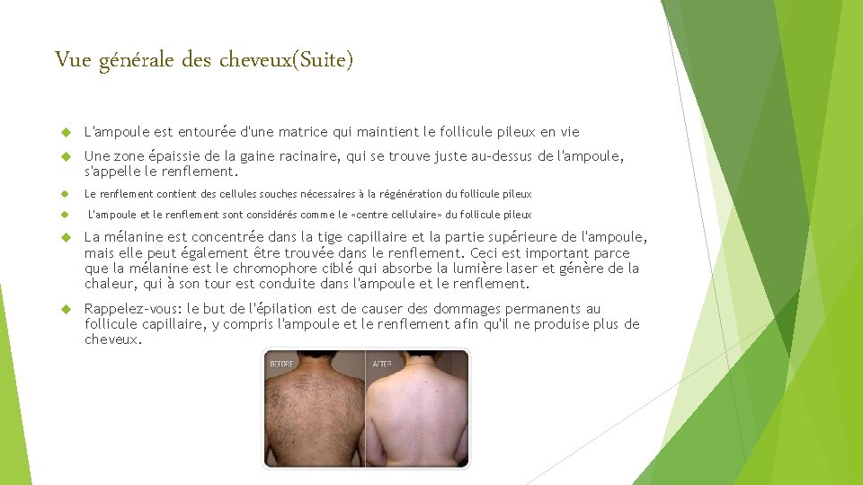 Vue générale des cheveux(Suite) L'ampoule est entourée d'une matrice qui maintient le follicule pileux Vue générale des cheveux(Suite) L'ampoule est entourée d'une matrice qui maintient le follicule pileux